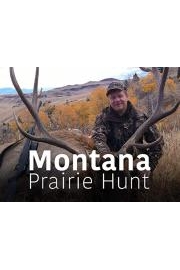 Montana Prairie Hunt