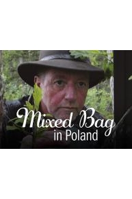 Mixed Bag in Poland