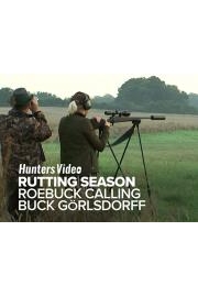 Rutting Season - Roebuck Calling buck GÃ¶rlsdorff