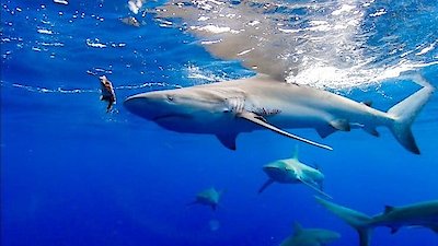 Deadliest Catch: Bloodline Season 2 Episode 7