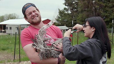 Saved by the Barn Season 1 Episode 1