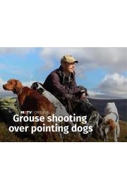Ulf Lindroth: Grouse Shooting over Pointing Dogs