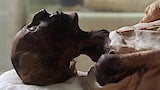 Egypt's Mummies