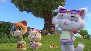 Watch 44 Cats Season 1 Episode 29 - Scaredy Cats Online Now