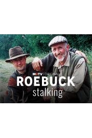 Roebuck Stalking