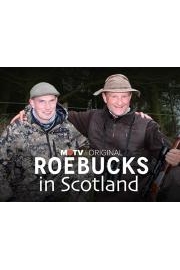 Roebucks in Scotland