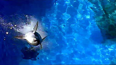 My Two Dads Season 1 Episode 10