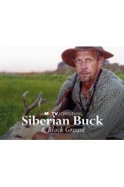 Siberian Buck And Black Grouse