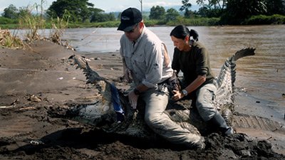 Dangerous Encounters Season 2 Episode 1