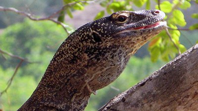 Dangerous Encounters Season 1 Episode 10