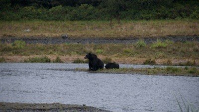 Dangerous Encounters Season 2 Episode 11