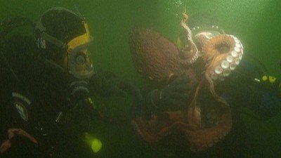 Dangerous Encounters Season 2 Episode 8