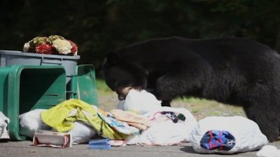 Dangerous Encounters Season 3 Episode 3