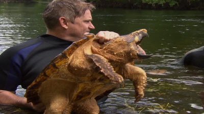 Dangerous Encounters Season 3 Episode 5