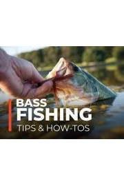 Bass Fishing Tips & How-To's