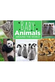 Baby Animals Around the World
