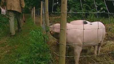 Tales From River Cottage Season 1 Episode 1