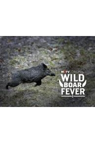 Wild Boar Fever 1