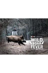 Wild Boar Fever 3