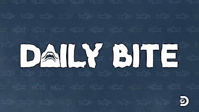 The Daily Bite Season 1 Episode 3
