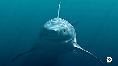 The Daily Bite Season 1 Episode 4