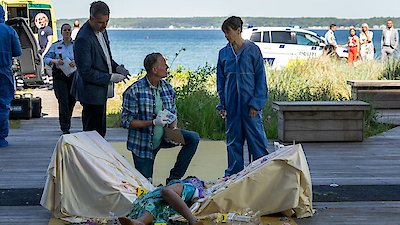 The Sommerdahl Murders Season 6 Episode 3