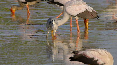 Tales From Zambia Season 1 Episode 1