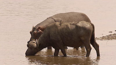 Tales From Zambia Season 1 Episode 2