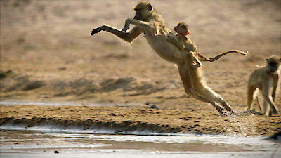 Tales From Zambia Season 1 Episode 5