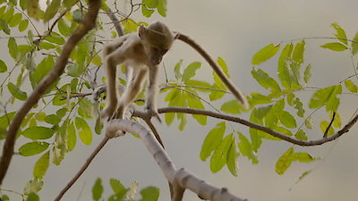 Tales From Zambia Season 1 Episode 6