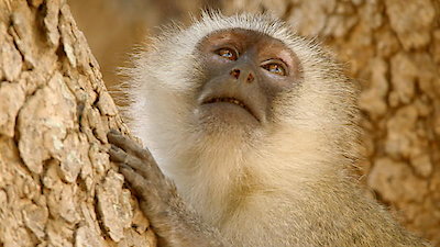 Tales From Zambia Season 2 Episode 1