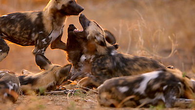 Tales From Zambia Season 2 Episode 2