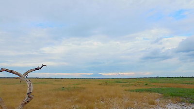 Tales From Zambia Season 2 Episode 4