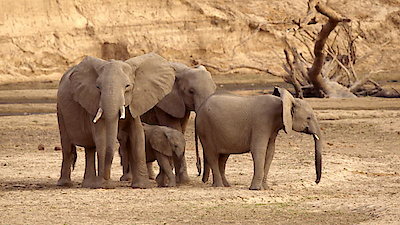 Tales From Zambia Season 2 Episode 6