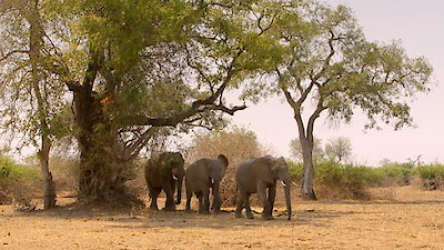 Tales From Zambia Season 2 Episode 7