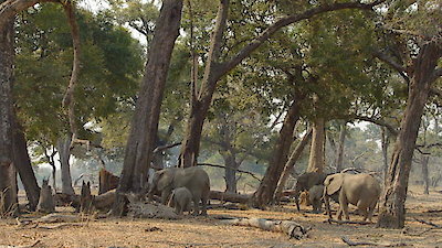 Tales From Zambia Season 2 Episode 8