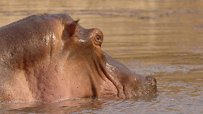 Tales From Zambia Season 2 Episode 3