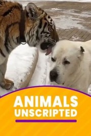 Animals Unscripted