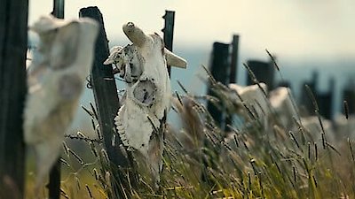 Unsolved Mysteries Season 5 Episode 3