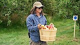 How Do You Like Them Apples?