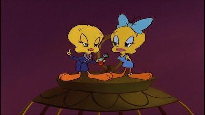The Sylvester and Tweety Mysteries Season 2 Episode 4