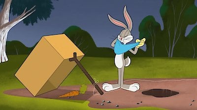 Looney Tunes Cartoons Season 1 Episode 50