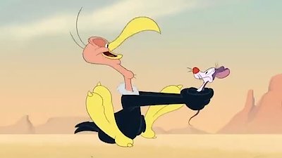 Looney Tunes Cartoons Season 1 Episode 76