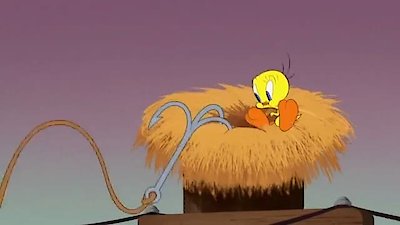 Looney Tunes Cartoons Season 1 Episode 87