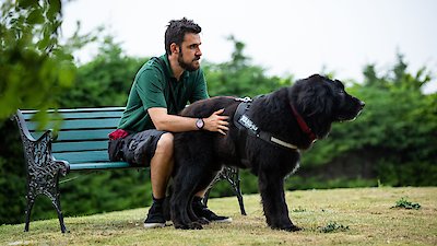 The Dog House: UK Season 2 Episode 1