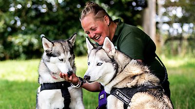 The Dog House: UK Season 2 Episode 2