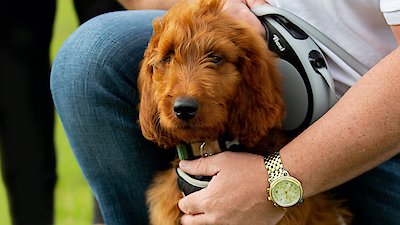 The Dog House: UK Season 2 Episode 6