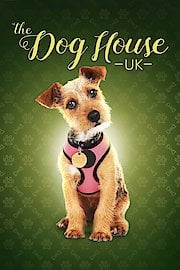 The Dog House: UK