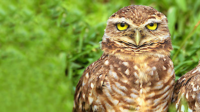 Into the Wild Colombia Season 1 Episode 3