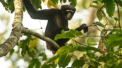 Into the Wild India Season 1 Episode 1